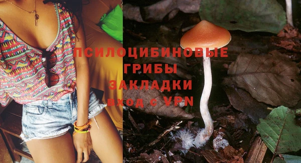 амф Абаза