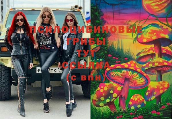 спиды Абдулино