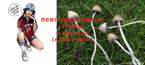 спиды Абдулино