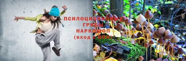 спиды Абдулино