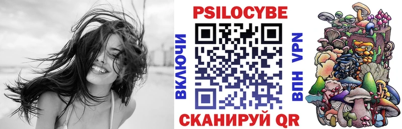 Псилоцибиновые грибы Psilocybine cubensis  мега ссылки  Шумерля 